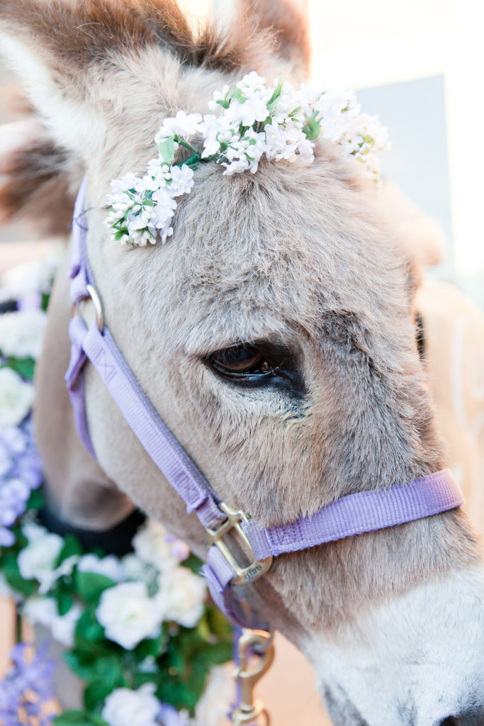 2016-02-21Lauren&GabbyWedding0672